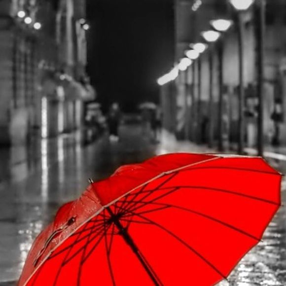 Meet your Posher, Josh - Picture 1 of 1